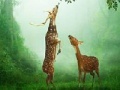 Game Deers in the forest slide puzzle