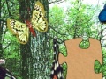 Game 3D Real Puzzle butterfly