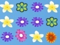 Game Collect flowers