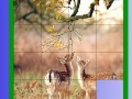 Game Two Deer Slide Puzzle