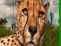 Game Big head cheetah slide puzzle