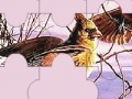Game Chatter birds puzzle