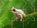 Game Cute little frog puzzle
