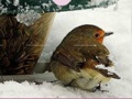 Game Little Bird And Snow Puzzle 
