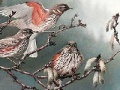 Game Birds on a tree slide puzzle