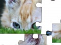 Game Jigsaw: Cat Hiding