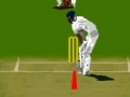 Game Virtual cricket