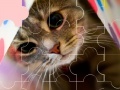 Game Cat really cute 3 puzzle