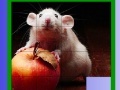 Game Puzzle: Apple and Mouse
