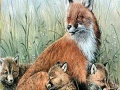 Game Fox family in the nature puzzle