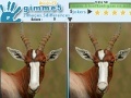 Game Gimme 5 Wildlife
