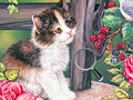 Game Hidden Numbers Cat