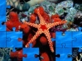 Game Starfish