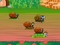 Game Snail race