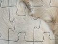Game Puppies jigsaw