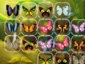 Game Batterfly Connect