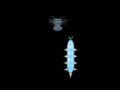 Game Cyber Worm 