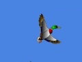 Game I just seen a duck 