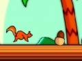 Game Squirrel squash 2
