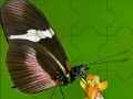 Game Fantastic butterfly puzzle