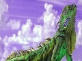 Game Puzzle: Lizard