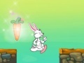 Game Little Rabbit