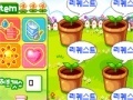 Game Grow your own flower