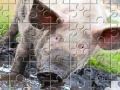Game Little Piggy Jigsaw