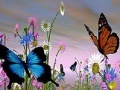 Game Butterflies slide puzzle