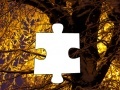 Game Jigsaw: Snowy Tree