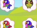 Game Bright Birds Matching