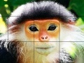Game Elderly monkey slide puzzle