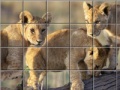 Game Swing and set african cats