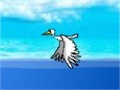 Game Bird Migration