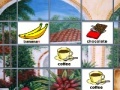 Game Find the same food