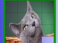 Game Grizzle cat slide puzzle