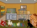 Game Zoo Shop Decor
