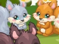 Game Squirrel Care