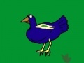 Game Fan of Birds