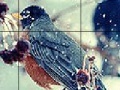 Game Fifteen: Birds
