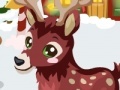 Game Reindeer care