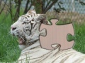 Game Jigsaw White Tiger 