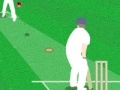 Game World Cricket Challenge