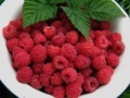 Game Raspberry puzzle 