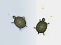 Game Turtles