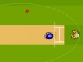 Game Cricket World Cup 2011