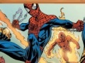 Game Sort my tiles amazing spiderman