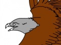 Game Birds Coloring Book