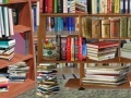Game Library Books