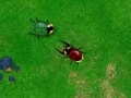 Game Beetle Wars